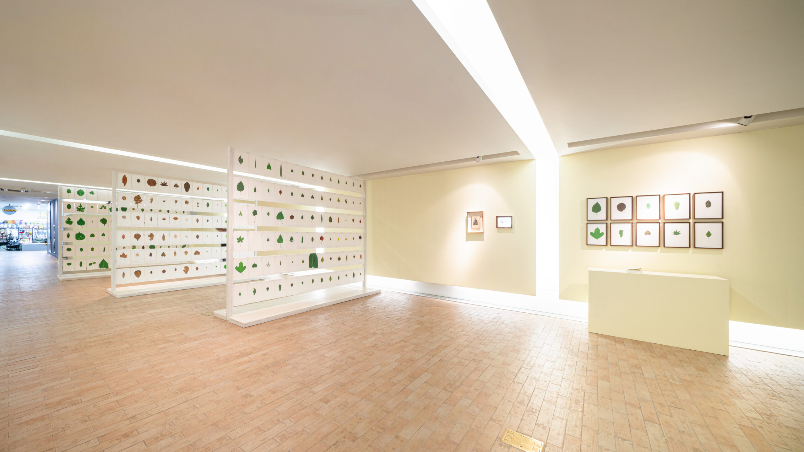 내가 숲에 갔을 때, 전시전경 (3)