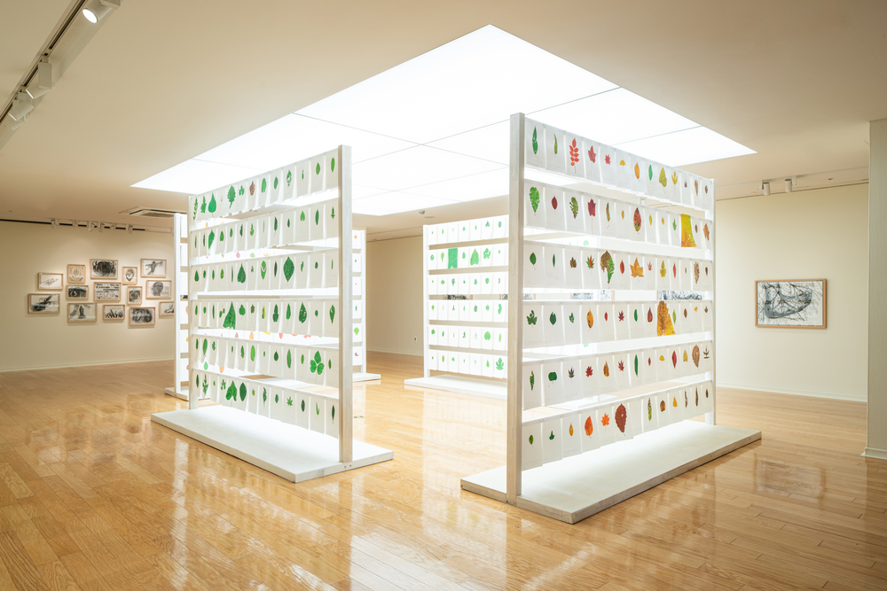 내가 숲에 갔을 때, 전시전경 (5)