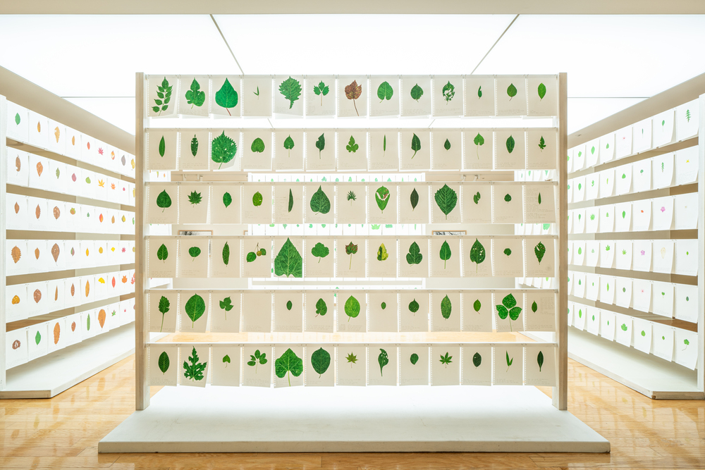 내가 숲에 갔을 때, 전시전경 (6)