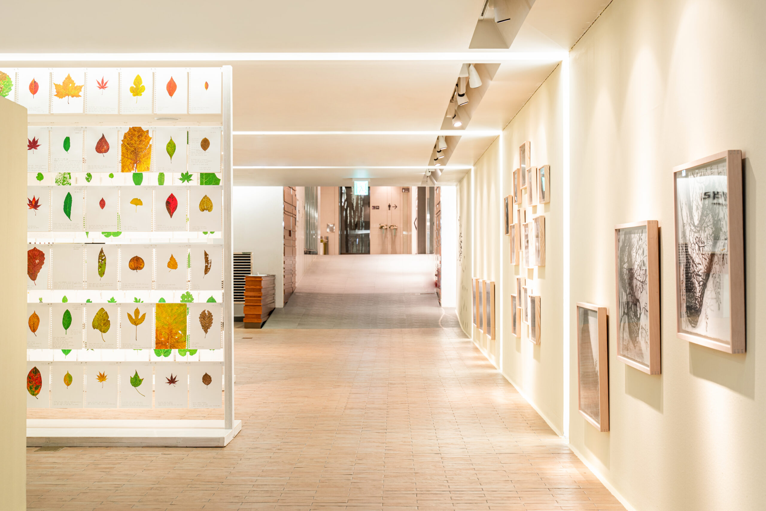 내가 숲에 갔을 때, 전시전경 (6)