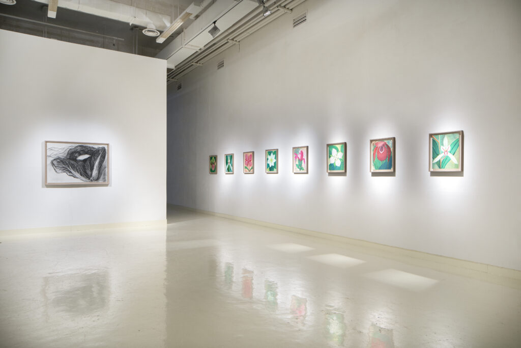 소망을 품다, 전시광경 (3)