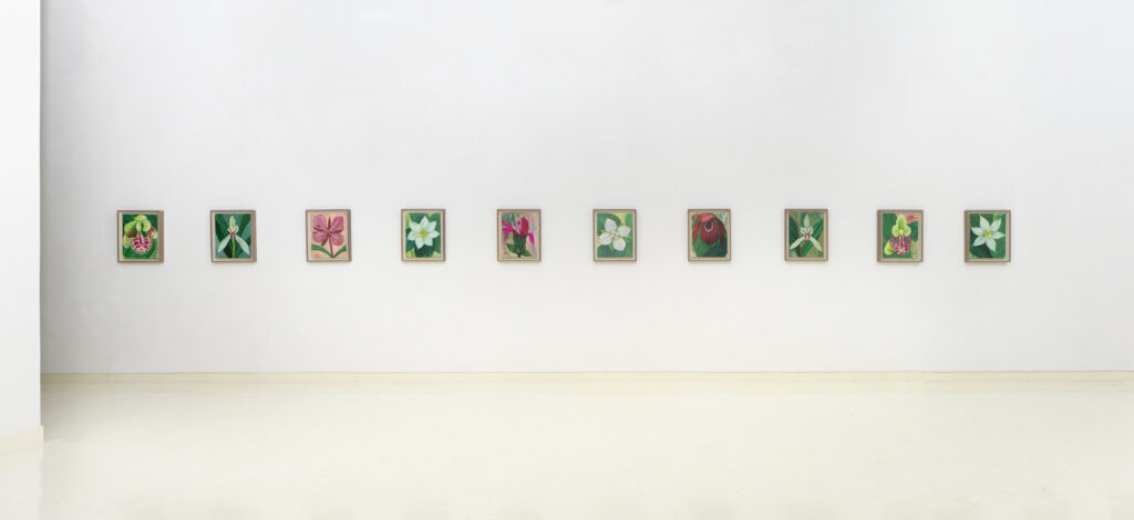 소망을 품다, 전시광경 (4)