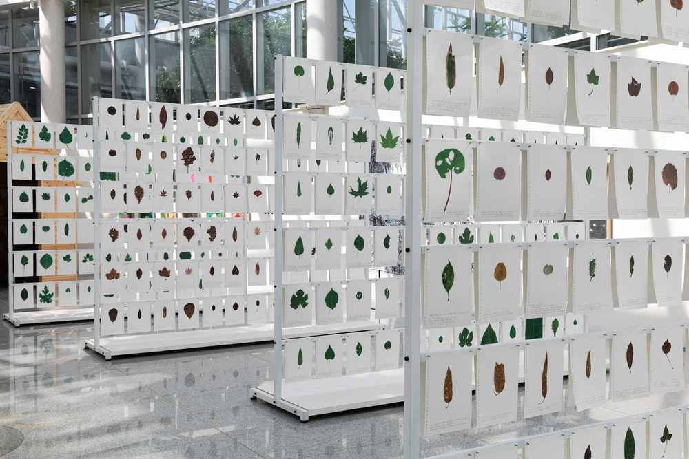 숨 쉬러 나가다, 전시전경 (4)